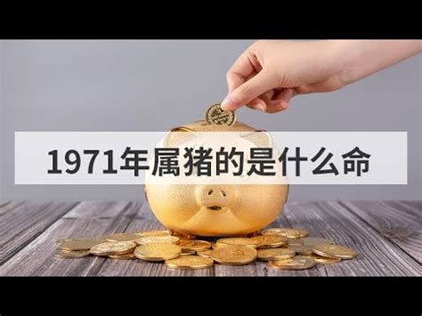 1971是什么年